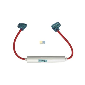 Hochspannungssicherung 0,7A Mikrowelle