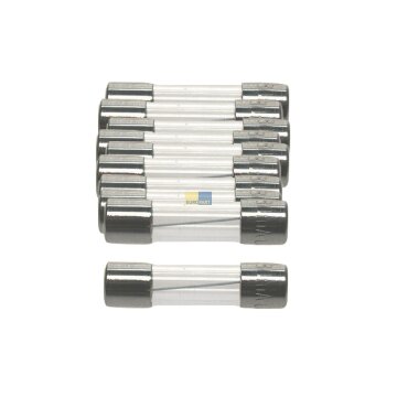 DIN Sicherung Feinsicherung 4,0A 10 Stück 5 x 20 mm