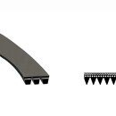 LUTH Premium Profi Parts Keilrippenriemen 1254 PJ 5 kompatibel mit Bauknecht 481235818157 für Waschmaschine