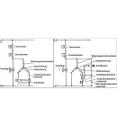 LUTH Premium Profi Parts Anlaufrelais 1/4 PS universal für Kompressor Kühlschrank Gefrierschrank