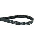 Keilrippenriemen 1244PJ4E Waschmaschine  für  Beko...