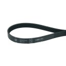 Keilrippenriemen  für  Amica 1033287 1950PH6...
