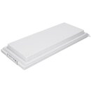 LUTH Premium Profi Parts Gefrierfachtür Gefrierfachklappe Klappe Gefrierfach kompatibel mit Bauknecht Whirlpool Kühlschrank 481244069334