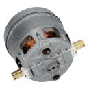 Siemens Motor mit Kohlen für Staubsauger 12010158