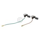 Bosch Kohlen mit Halter kpl für Antrieb Fleischwolf...