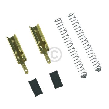 Bosch Kohlen mit Halter für Allesschneider 2Stk für Handmixer 10000215