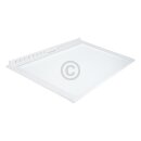 Bosch Glasplatte 455x290mm mit Rahmen für Gemüsefach für Kühlschrank 00353027