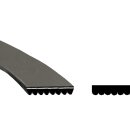 Keilrippenriemen 1965Ph6 Bauknecht 481235818186 für Trockner