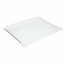 LUTH Premium Profi Parts Glasplatte mit Leisten 460X300mm Kühlteil mittig kompatibel mit Electrolux 225163920/5 für KühLGefrierkombination