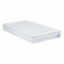 Gefrierfachtüre mit Dichtung Griff Feder Gorenje 409834 für Kühlschrank