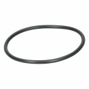 Pumpendichtung O-Ring Amica 1035855 für...
