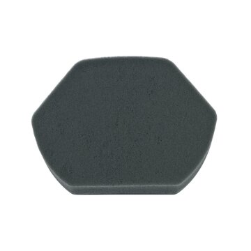 LUTH Premium Profi Parts Schaumfilter kompatibel mit Bosch 12012937 Sechseckig Unter Staubbehälter Staubsauger