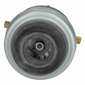 LUTH Premium Profi Parts Motor kompatibel mit Bosch 00653721 1ba44186ek Mit Kohlen 950w für Bodenstaubsauger