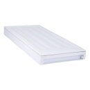 Gefrierfachtüre Amica 1023121 für Kühlschrank