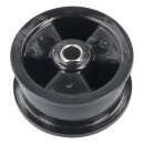 Spannrolle Electrolux 8581250125037 für Trockner