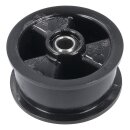 Spannrolle Electrolux 8581250125037 für Trockner