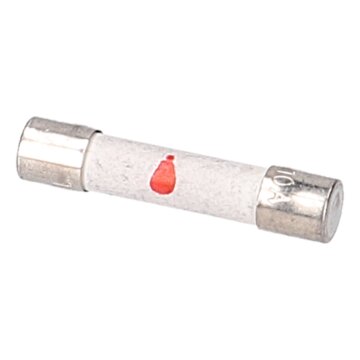 LUTH Premium Profi Parts Sicherung 10a 250v 6,3x32mm kompatibel mit Samsung 3601-000448 für Mikrowelle