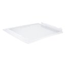 Glasplatte mit Randstreifen 0060206524  für Kühlschrank Haier