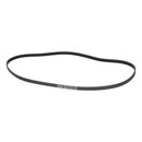 Keilrippenriemen 1202pj5e Haier 49050979 0020300503...