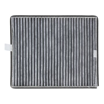 Kohlefilter Filter DKF 11-P 11762530 für Dunstabzugshaube