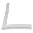 Türdichtung für Kühteil Beko 5928103900 in Kühlgefrierkombination