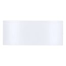 Gefrierfachtüre Amica 1037091 für Kühlschrank