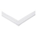 LUTH Premium Profi Parts Türdichtung kompatibel mit Amica 1013824 für Kühlschrank