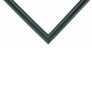 LUTH Premium Profi Parts Türdichtung für...