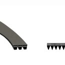 LUTH Premium Profi Parts Keilrippenriemen 1200PJ5 kompatibel mit Electrolux 6781223992 für Waschmaschine