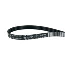 Keilrippenriemen 1236pj4e Whirlpool 481235818206 für Waschmaschine