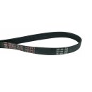 Keilrippenriemen 1315ph8e Gorenje 151041 für...