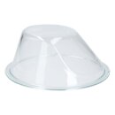 Frontglasscheibe 11033528