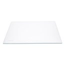 Glasplatte 460x402mm Amica 1041963 für Kühlschrank