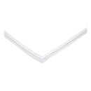 Magnettürdichtung Hisense Hk1118241 für Kühlschrank
