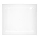LUTH Premium Profi Parts Kombiblech kompatibel mit Electrolux 50293795006 für Mikrowelle