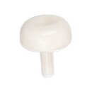 Befestigungsstift Fur Schaumfilter an Wärmetauscher Candy 40006911 Von Trockner