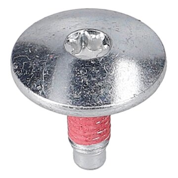 LUTH Premium Profi Parts Schraube für Riemenscheibe Kompatibel mit Candy 41021881 in Waschmaschine Waschtrockner