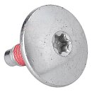 LUTH Premium Profi Parts Schraube für Riemenscheibe Kompatibel mit Candy 41021881 in Waschmaschine Waschtrockner