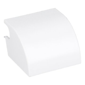 LUTH Premium Profi Parts Scharnierabdeckung oben kompatibel mit Haier 0070201455 kompatibel mit Candy/ Hoover 49055985 für Gefrierschrank