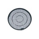 Kohlefilter Wpro 484000008674 F196 FAC529 196mmØ für Dunstabzugshaube